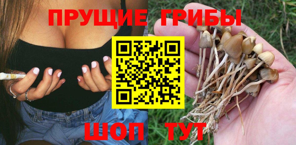 Псилоцибиновые грибы мицелий Чита