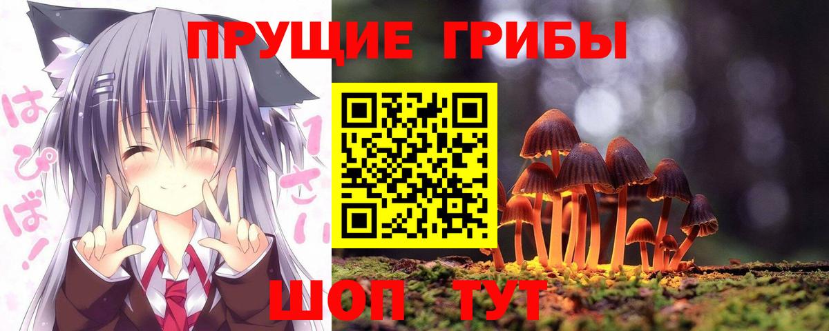 Чита  Псилоцибиновые грибы мицелий  купить наркоту  Псилоцибиновые грибы Cubensis  Вход с VPN 